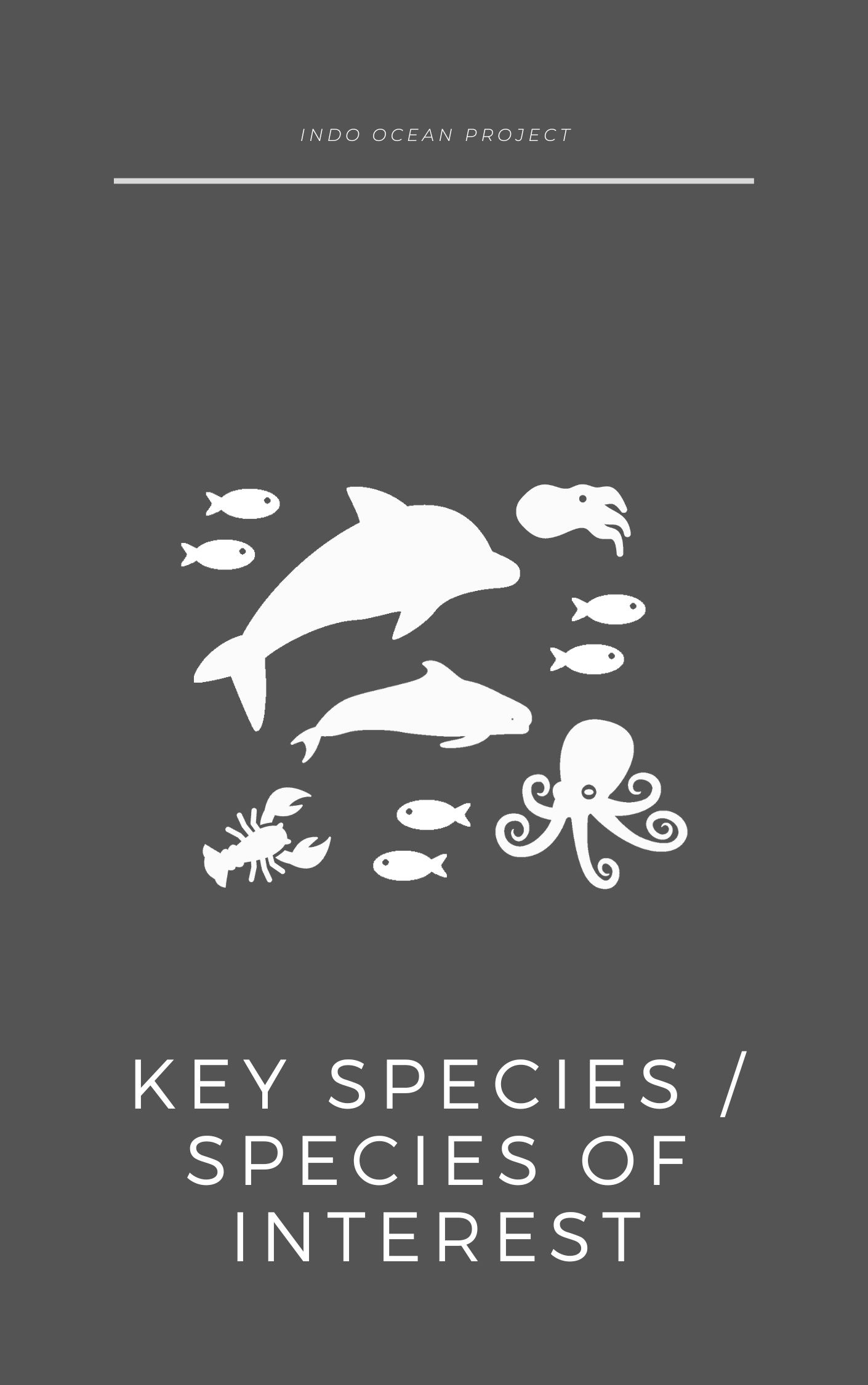 Key Species Identification Training Tools