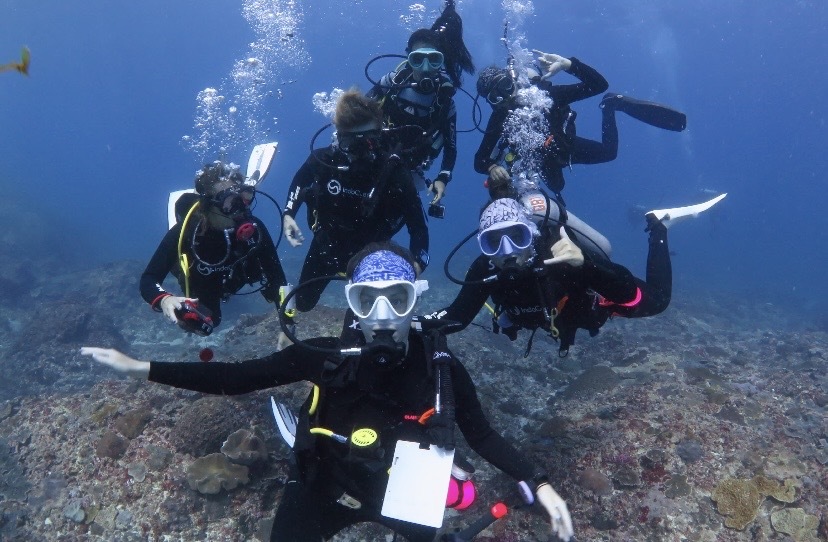 Quarterly Report Nusa Penida May 2025